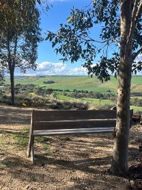 View Plot