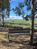 View Plot